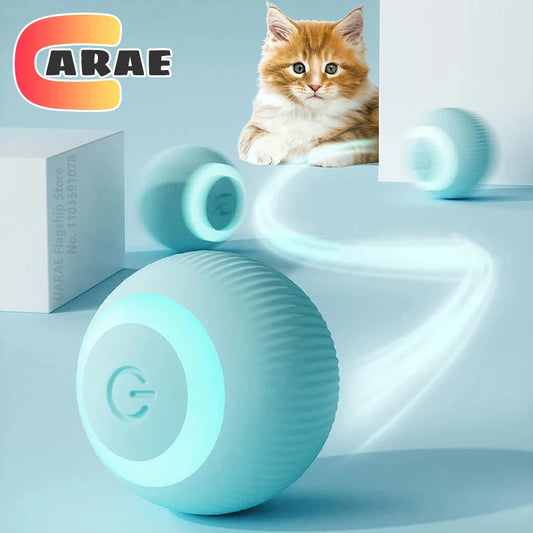 Intelligent Interactive Ball For Pets