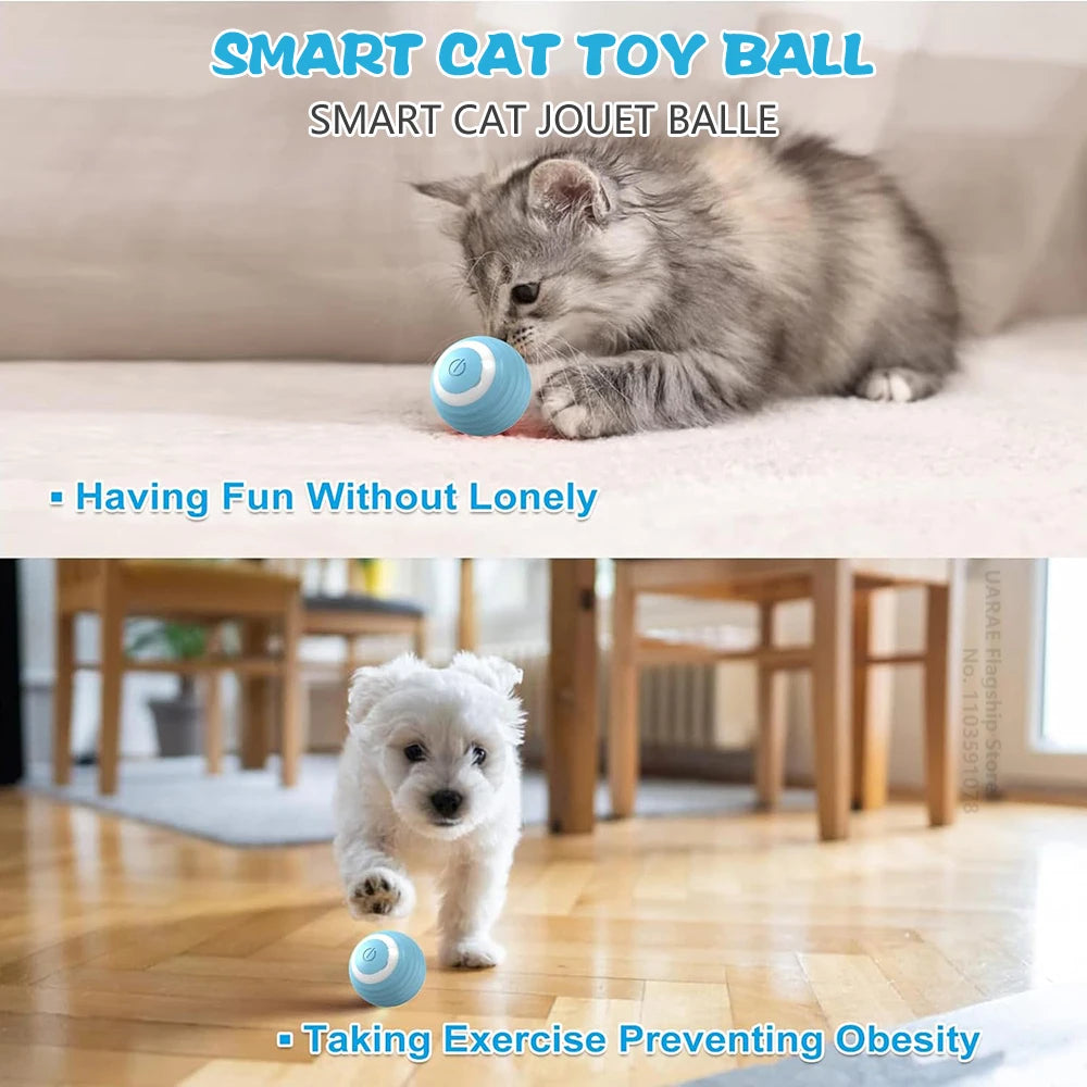 Intelligent Interactive Ball For Pets