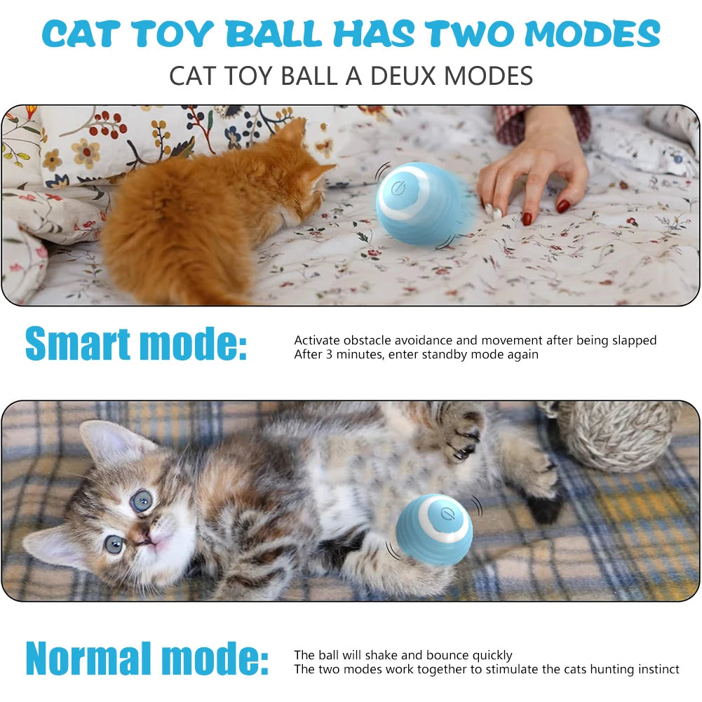 Intelligent Interactive Ball For Pets